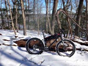 Borealis Yampa Fat Bike at York River State Park 